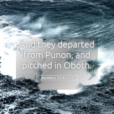 Picture 05 - Numbers 33:43 KJV - And they departed from Punon, and pitched in - Bible Verse Picture