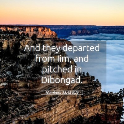 Picture 05 - Numbers 33:45 KJV - And they departed from Iim, and pitched in - Bible Verse Picture
