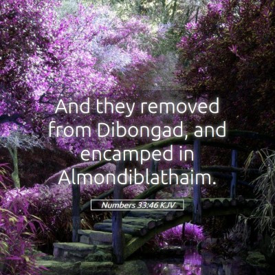 Picture 05 - Numbers 33:46 KJV - And they removed from Dibongad, and encamped in - Bible Verse Picture