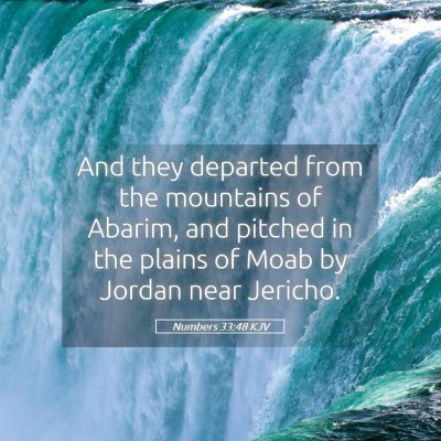 Picture 05 - Numbers 33:48 KJV - And they departed from the mountains of Abarim, - Bible Verse Picture