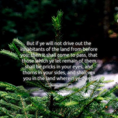 Picture 05 - Numbers 33:55 KJV - But if ye will not drive out the inhabitants of - Bible Verse Picture