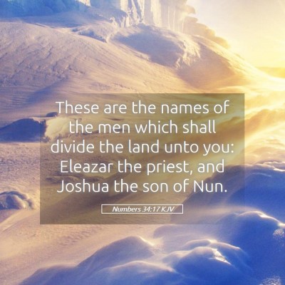 Picture 05 - Numbers 34:17 KJV - These are the names of the men which shall divide - Bible Verse Picture