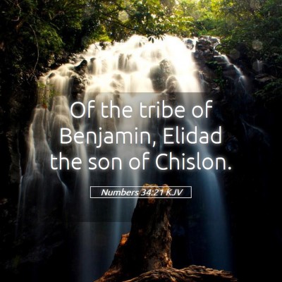Picture 05 - Numbers 34:21 KJV - Of the tribe of Benjamin, Elidad the son of - Bible Verse Picture