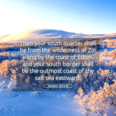 Picture 05 - Numbers 34:3 KJV - Then your south quarter shall be from the - Bible Verse Picture