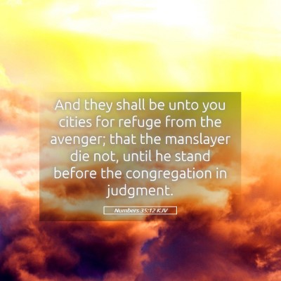 Picture 05 - Numbers 35:12 KJV - And they shall be unto you cities for refuge from - Bible Verse Picture