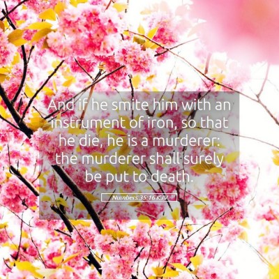 Picture 05 - Numbers 35:16 KJV - And if he smite him with an instrument of iron, - Bible Verse Picture