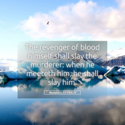 Picture 05 - Numbers 35:19 KJV - The revenger of blood himself shall slay the - Bible Verse Picture