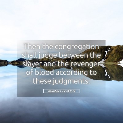Picture 05 - Numbers 35:24 KJV - Then the congregation shall judge between the - Bible Verse Picture