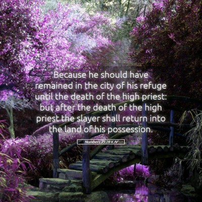 Picture 05 - Numbers 35:28 KJV - Because he should have remained in the city of - Bible Verse Picture