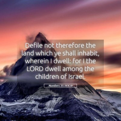 Picture 05 - Numbers 35:34 KJV - Defile not therefore the land which ye shall - Bible Verse Picture