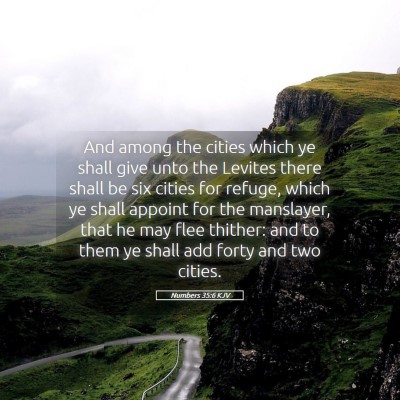 Picture 05 - Numbers 35:6 KJV - And among the cities which ye shall give unto the - Bible Verse Picture