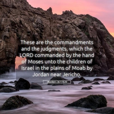 Picture 05 - Numbers 36:13 KJV - These are the commandments and the judgments, - Bible Verse Picture