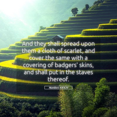Picture 05 - Numbers 4:8 KJV - And they shall spread upon them a cloth of - Bible Verse Picture