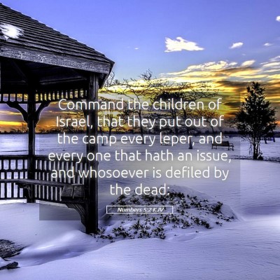 Picture 05 - Numbers 5:2 KJV - Command the children of Israel, that they put out - Bible Verse Picture