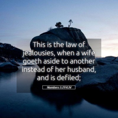 Picture 05 - Numbers 5:29 KJV - This is the law of jealousies, when a wife goeth - Bible Verse Picture