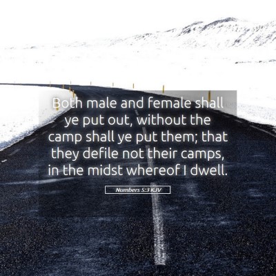 Picture 05 - Numbers 5:3 KJV - Both male and female shall ye put out, without - Bible Verse Picture