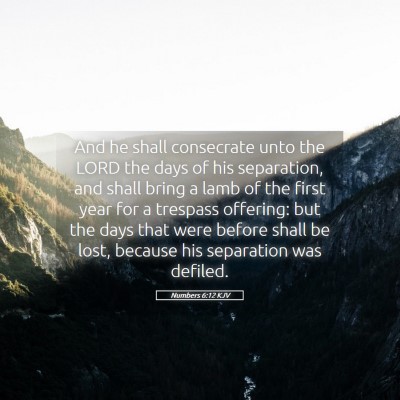 Picture 05 - Numbers 6:12 KJV - And he shall consecrate unto the LORD the days of - Bible Verse Picture