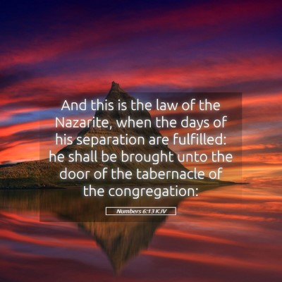 Picture 05 - Numbers 6:13 KJV - And this is the law of the Nazarite, when the - Bible Verse Picture