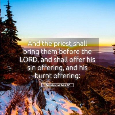 Picture 05 - Numbers 6:16 KJV - And the priest shall bring them before the LORD, - Bible Verse Picture