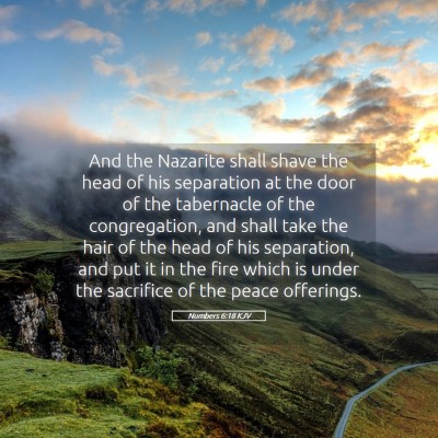Picture 05 - Numbers 6:18 KJV - And the Nazarite shall shave the head of his - Bible Verse Picture