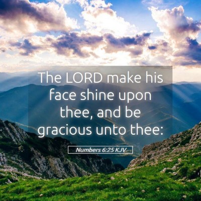 Picture 05 - Numbers 6:25 KJV - The LORD make his face shine upon thee, and be - Bible Verse Picture