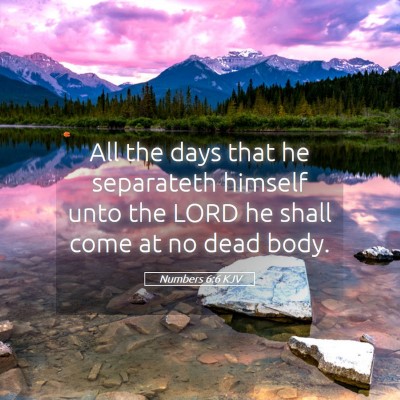 Picture 05 - Numbers 6:6 KJV - All the days that he separateth himself unto the - Bible Verse Picture