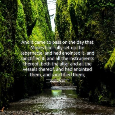 Picture 05 - Numbers 7:1 KJV - And it came to pass on the day that Moses had - Bible Verse Picture
