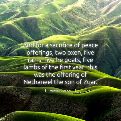 Picture 05 - Numbers 7:23 KJV - And for a sacrifice of peace offerings, two oxen, - Bible Verse Picture