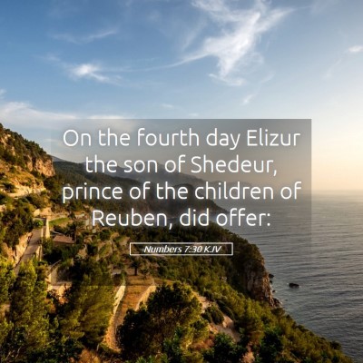 Picture 05 - Numbers 7:30 KJV - On the fourth day Elizur the son of Shedeur, - Bible Verse Picture