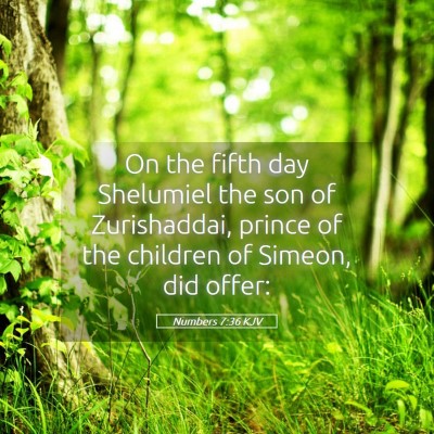Picture 05 - Numbers 7:36 KJV - On the fifth day Shelumiel the son of - Bible Verse Picture