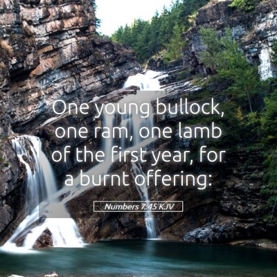Picture 05 - Numbers 7:45 KJV - One young bullock, one ram, one lamb of the first - Bible Verse Picture