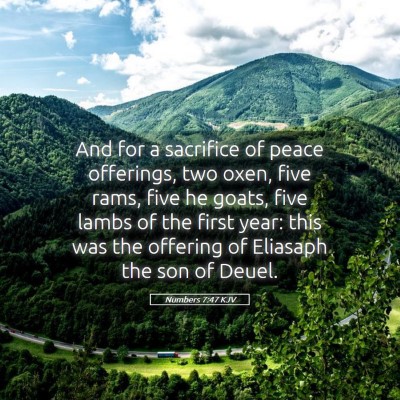 Picture 05 - Numbers 7:47 KJV - And for a sacrifice of peace offerings, two oxen, - Bible Verse Picture