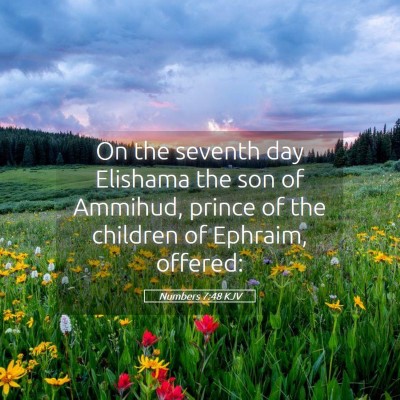 Picture 05 - Numbers 7:48 KJV - On the seventh day Elishama the son of Ammihud, - Bible Verse Picture