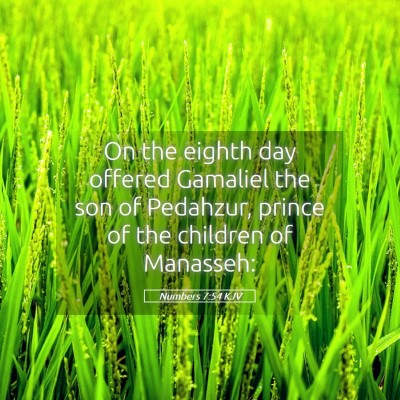 Picture 05 - Numbers 7:54 KJV - On the eighth day offered Gamaliel the son of - Bible Verse Picture