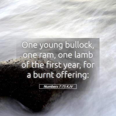 Picture 05 - Numbers 7:75 KJV - One young bullock, one ram, one lamb of the first - Bible Verse Picture