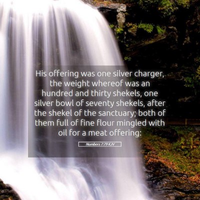 Picture 05 - Numbers 7:79 KJV - His offering was one silver charger, the weight - Bible Verse Picture