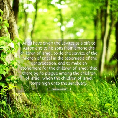 Picture 05 - Numbers 8:19 KJV - And I have given the Levites as a gift to Aaron - Bible Verse Picture