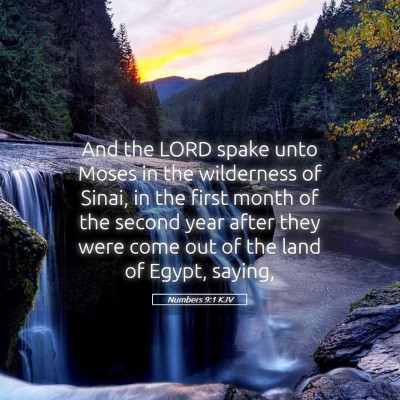 Picture 05 - Numbers 9:1 KJV - And the LORD spake unto Moses in the wilderness - Bible Verse Picture