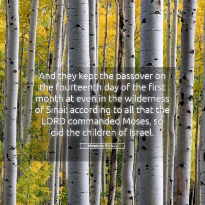 Picture 05 - Numbers 9:5 KJV - And they kept the passover on the fourteenth day - Bible Verse Picture