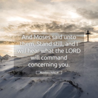Picture 05 - Numbers 9:8 KJV - And Moses said unto them, Stand still, and I will - Bible Verse Picture