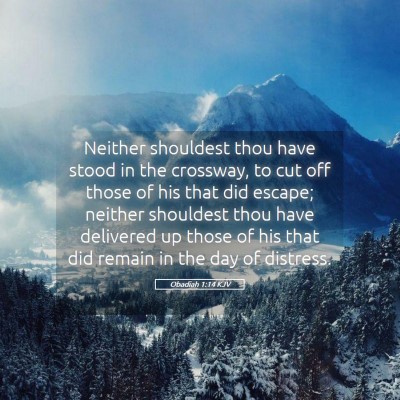 Picture 05 - Obadiah 1:14 KJV - Neither shouldest thou have stood in the - Bible Verse Picture