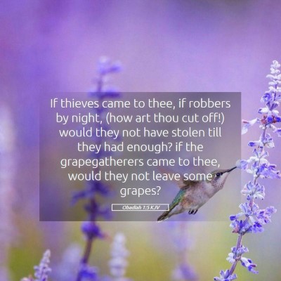 Picture 05 - Obadiah 1:5 KJV - If thieves came to thee, if robbers by night, - Bible Verse Picture