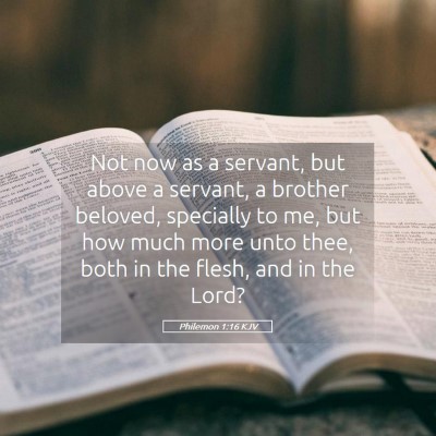 Picture 05 - Philemon 1:16 KJV - Not now as a servant, but above a servant, a - Bible Verse Picture