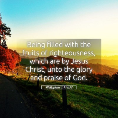 Picture 05 - Philippians 1:11 KJV - Being filled with the fruits of righteousness, - Bible Verse Picture
