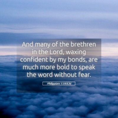 Picture 05 - Philippians 1:14 KJV - And many of the brethren in the Lord, waxing - Bible Verse Picture