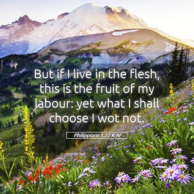 Picture 05 - Philippians 1:22 KJV - But if I live in the flesh, this is the fruit of - Bible Verse Picture