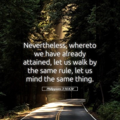 Picture 05 - Philippians 3:16 KJV - Nevertheless, whereto we have already attained, - Bible Verse Picture