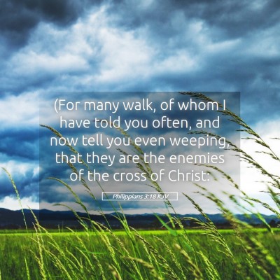 Picture 05 - Philippians 3:18 KJV - (For many walk, of whom I have told you often, - Bible Verse Picture