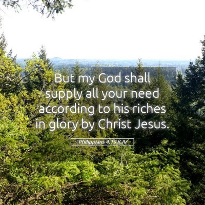 Picture 05 - Philippians 4:19 KJV - But my God shall supply all your need according - Bible Verse Picture