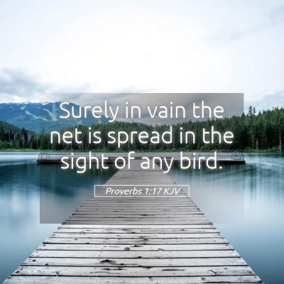Picture 05 - Proverbs 1:17 KJV - Surely in vain the net is spread in the sight of - Bible Verse Picture